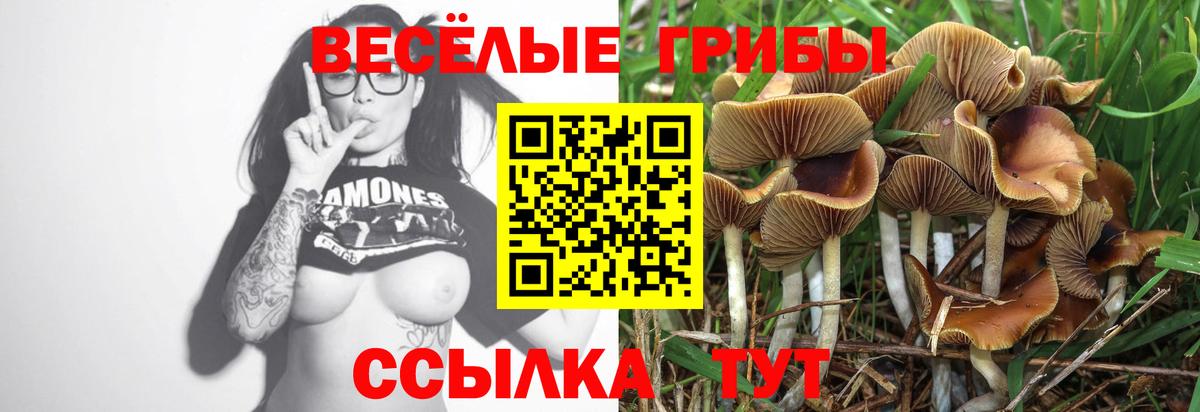 Ростов-на-Дону  Галлюциногенные грибы мухоморы  Вход с VPN 